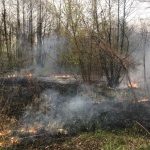 Пожежі через підпали сухої трави: втрати та штрафи