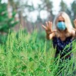 Жители Полтавщины решили бороться с амброзией через «Экологические инициативы»