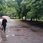 В Полтаве объявили штормовое предупреждение