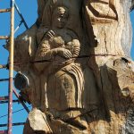 В Рассошенцах 300-летний дуб превращают в туристическую достопримечательность