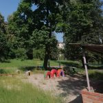 В Полтаве объявили конкурс по озеленению и благоустройству территорий школ и детских садов
