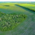 Продати землю і захиститися від шахраїв: в Україні запрацював безкоштовний Viber-бот LandInvest для перевірки пайових ділянок у держреєстрах