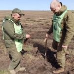 На Полтавщині висадили понад 4 мільйони дерев