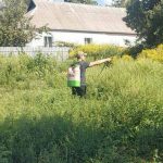 Цього року в Полтавській громаді на заходи з боротьби з амброзією виділили 5 мільйонів гривень
