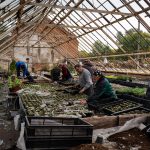 Ворог знищив теплиці, у яких КП «Декоративні культури» вирощувало квіти для висаджування в Полтавській громаді