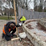 У Сонячному парку Полтави розпочали роботи із демонтажу аварійного фонтану