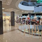 У Полтаві відкрилася фотовиставка «Чотири лаписток – тисячі історій»