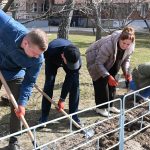 Біля Полтавської міської дитячої лікарні висадили алею лаванди