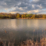 Забруднення води в Полтаві: КП «Декоративні культури» звернулося до поліції