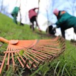 4 квітня в Полтаві відбудеться загальноміська толока