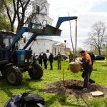 ”1 мільйон дерев пам’яті та життя”: полтавці долучилися до міжнародної екологічної акції