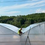 (Ua) КП «Декоративні культури» відновлює тепличне господарство після обстрілів